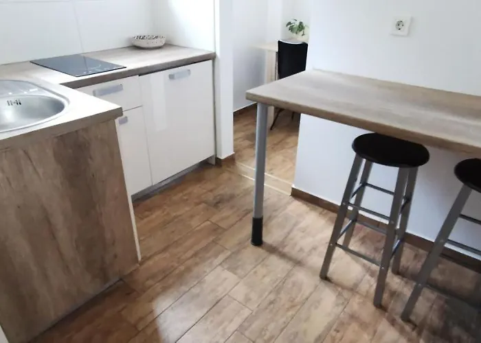 Domovoj ميدفودِ